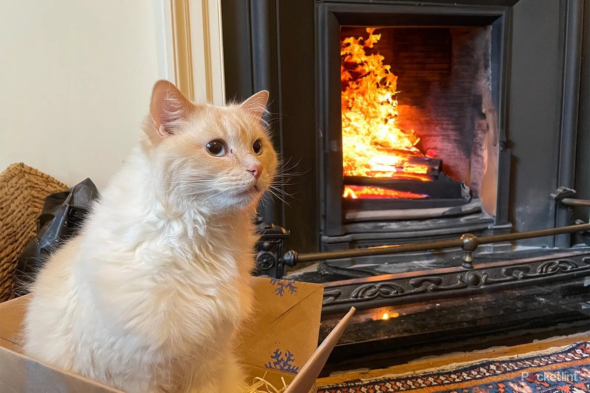 Maintaining Generative Fill Functionality & Preventing Deactivation Your Essential Guide